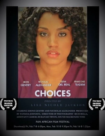 Постер Choices 2014, США