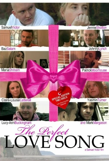 Постер The Perfect Love Song