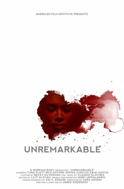 Постер Unremarkable 2016