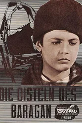Сорняки Баррагана 1957 постер