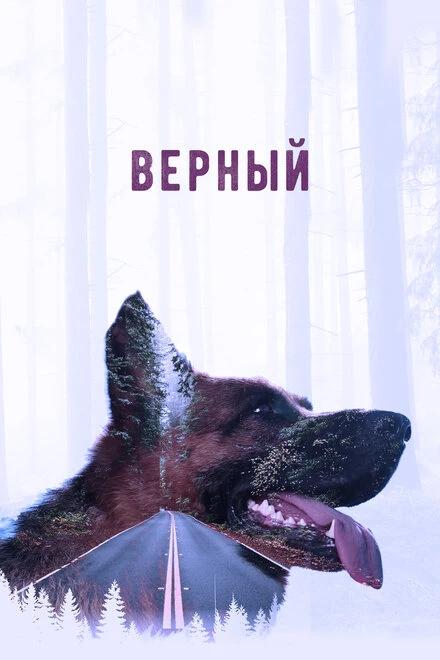 Постер Верный 2016