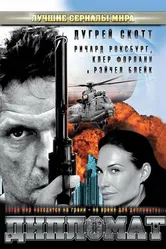 Дипломат 2009 постер