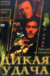 Дикая удача 2003 постер