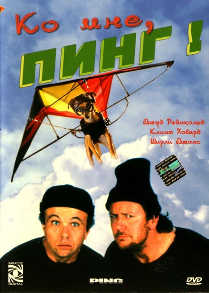 Постер Ко мне, Пинг! 2000