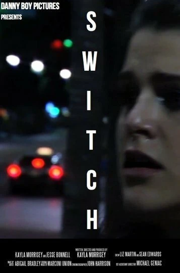 Постер Switch 2013