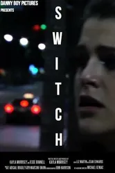 Switch 2013 постер