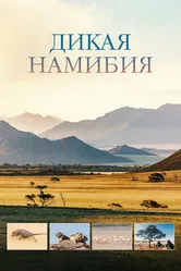 Дикая Намибия 2023 постер
