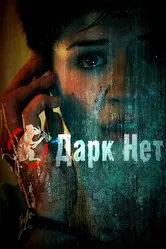 Даркнет 2013 постер