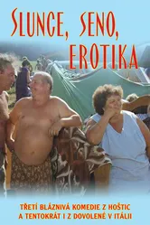 Солнце, сено, эротика 1991 постер