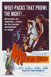 Mad at the World постер