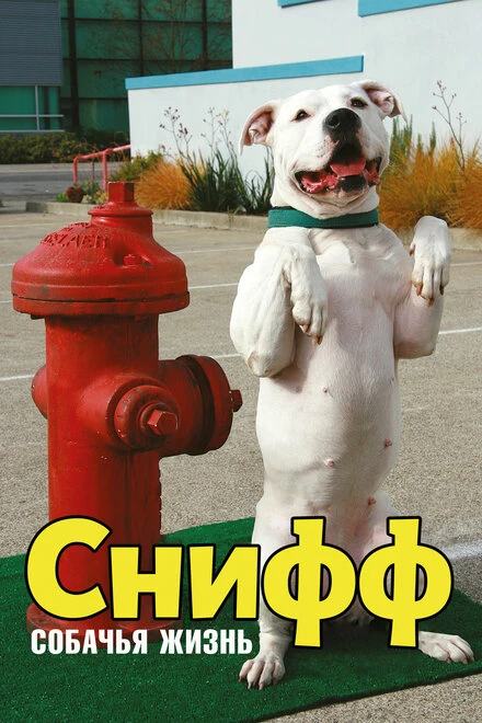 Постер Снифф: Собачья жизнь 2009
