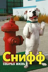 Снифф: Собачья жизнь 2009 постер