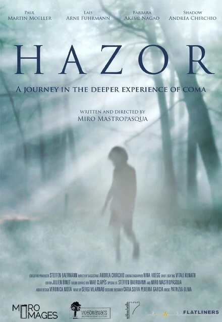 Постер Hazor