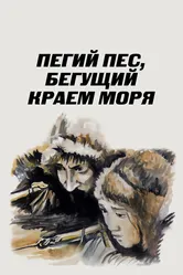 Пегий пес, бегущий краем моря 1990 постер