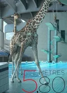 5 метров 80 сантиметров 2012 постер