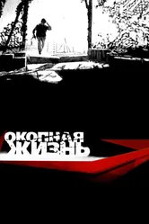 Окопная жизнь 2008 постер