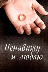 Ненавижу и люблю 2013 постер