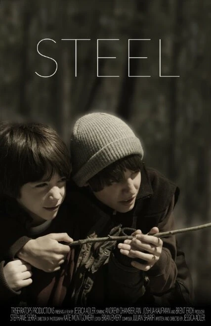 Постер Steel 2014