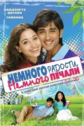 Немного радости, немного печали 2009 постер