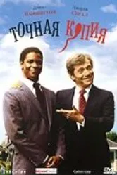 Точная копия 1981 постер