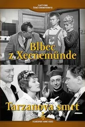Идиот из Ксеенемюнде 1963 постер
