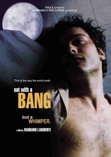 Постер Non con un bang