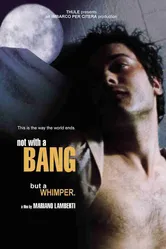 Non con un bang постер