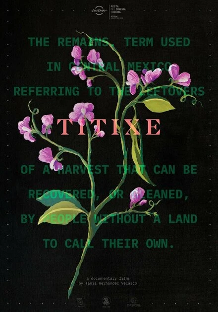 Постер Titixe
