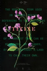 Titixe постер
