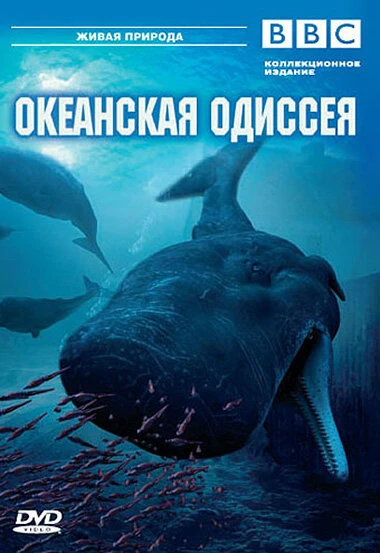 Постер BBC: Океанская одиссея 2006