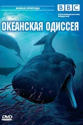 BBC: Океанская одиссея 2006 постер