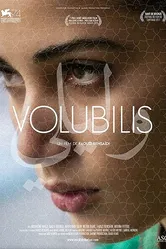 Volubilis постер