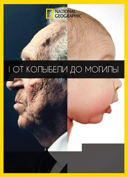 Постер От колыбели до могилы 2016