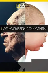 От колыбели до могилы 2016 постер