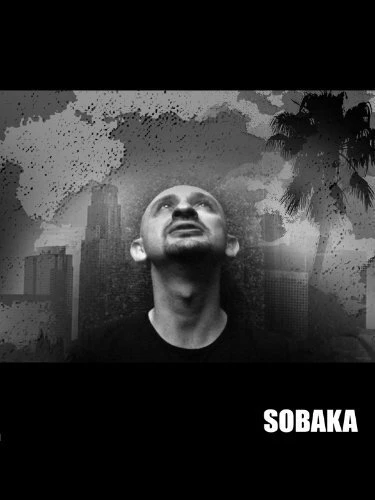 Постер Собака 2008