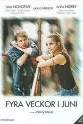 Четыре недели в июне 2005 постер