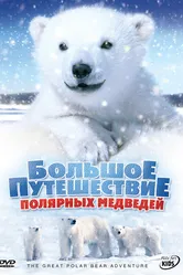 Большое путешествие полярных медведей 2006 постер