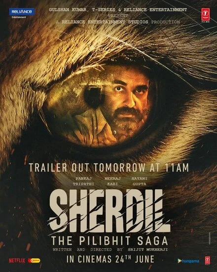 Постер Sherdil
