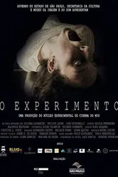 O Experimento постер