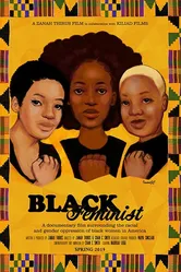 The Black Feminist Documentary постер