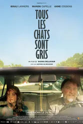 Tous les chats sont gris 2014 постер
