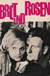 Хлеб и розы 1967 постер