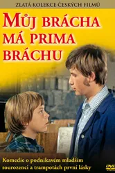 У моего брата отличный братишка 1975 постер