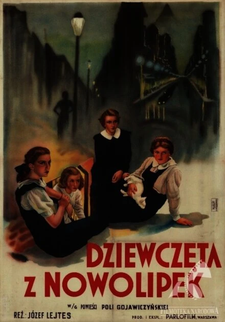 Постер Девушки из Новолипок 1937