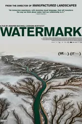 Водяные знаки 2013 постер