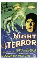 Ночь террора 1933 постер