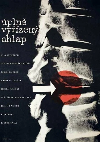 Постер Úplne vyrízený chlap