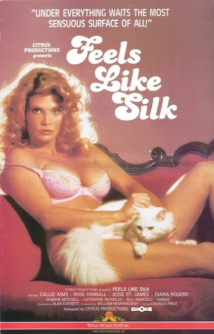 Постер Feels Like Silk