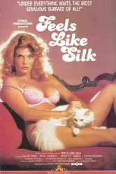 Feels Like Silk постер