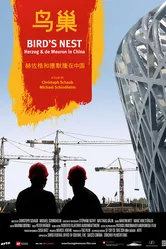 Bird's Nest - Herzog & De Meuron in China постер
